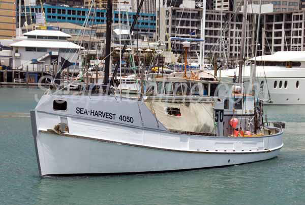 Sea Harvest ID 4980
